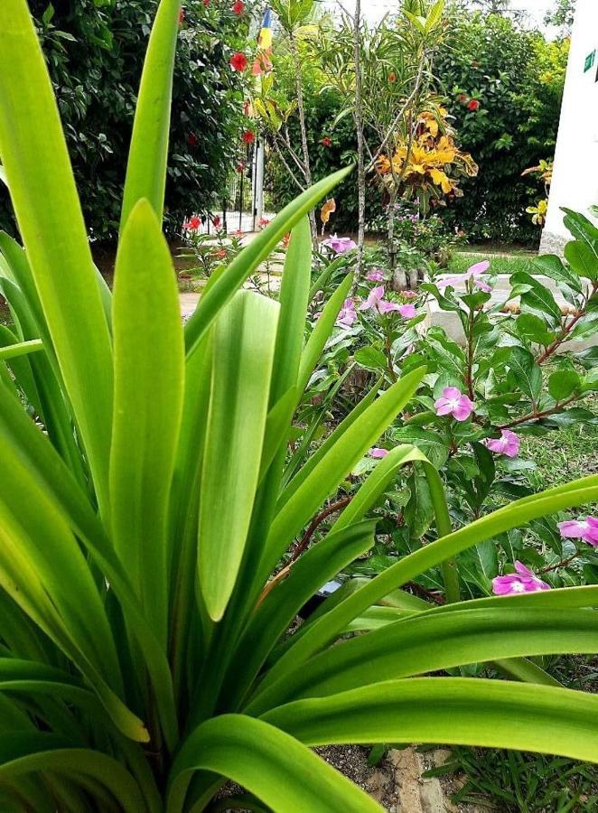 Hotel La Source Self Catering La Digue Exterior foto